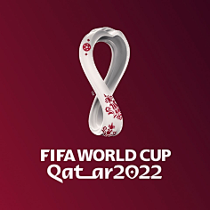 了众多国内